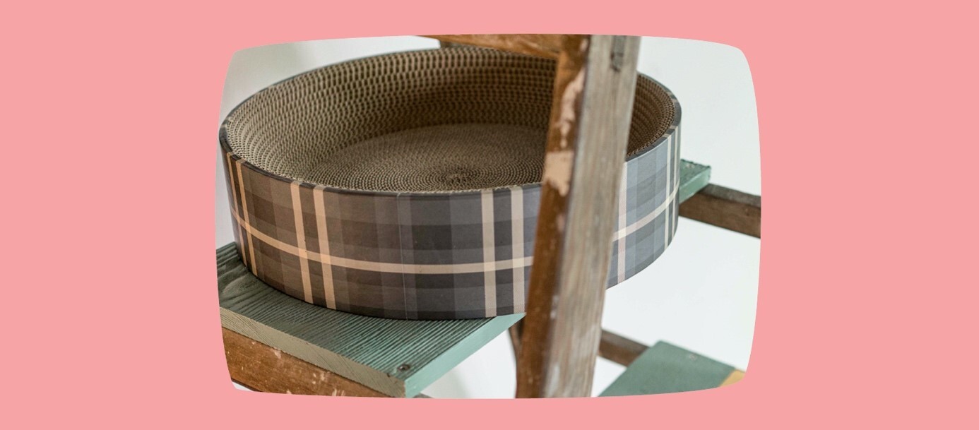 Rundes Katzenkratzbrett aus Wellpappe mit kariertem Rand auf einer grünen Holzleiter