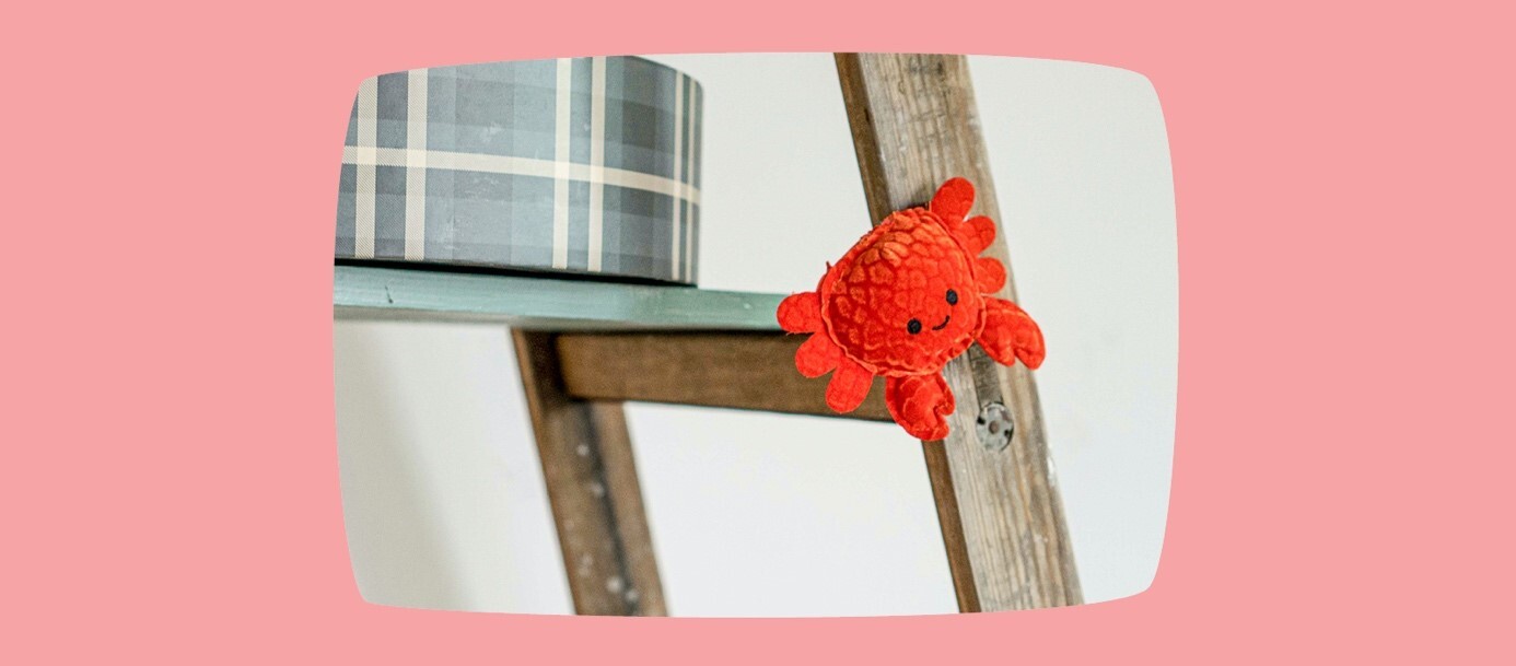 Rote Plüschkrabbe hängt an einer Holzleiter mit einem karierten Aufbewahrungskarton auf einem Regalbrett