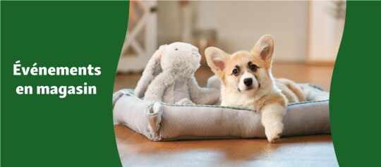 bannière événements en magasin