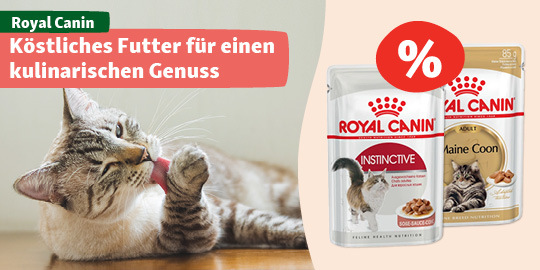 Köstliches Futter für einen kulinarischen Genuss