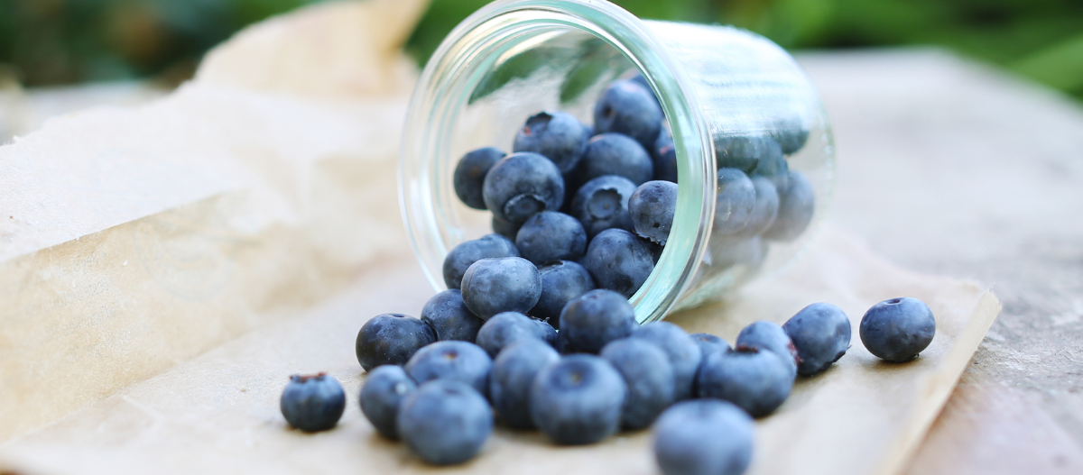 Blaubeeren rollen aus einem Glas