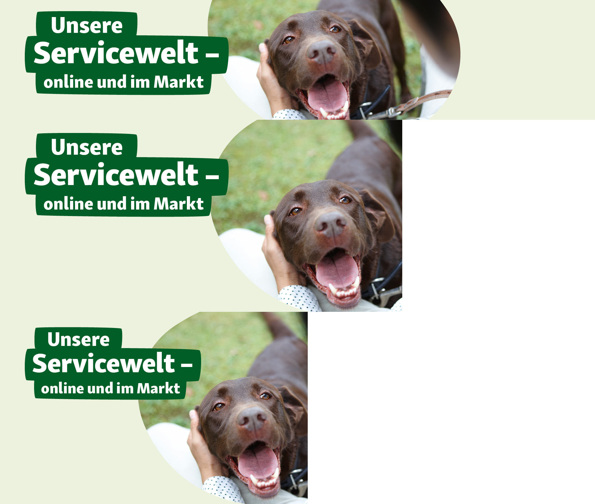 20230614_Serviceseite_Hund Glücklicher Schokoladen-Labrador wird im Freien gestreichelt mit dem Text „Unsere Servicewelt – online und im Markt“