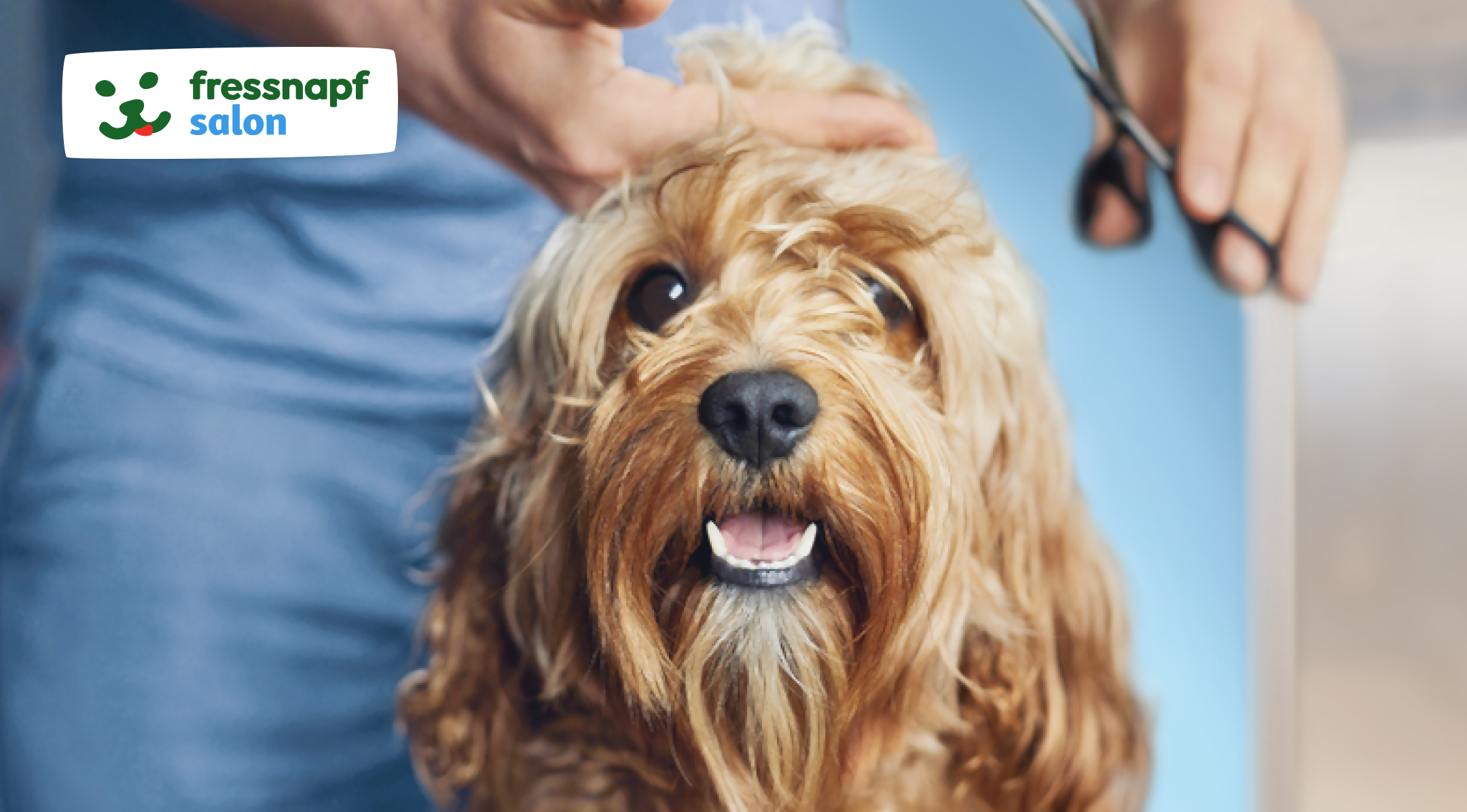 salon_teaser_e-64895d3d3aace Glücklicher brauner Hund mit lockigem Fell wird im Fressnapf Salon professionell geschnitten und gepflegt.