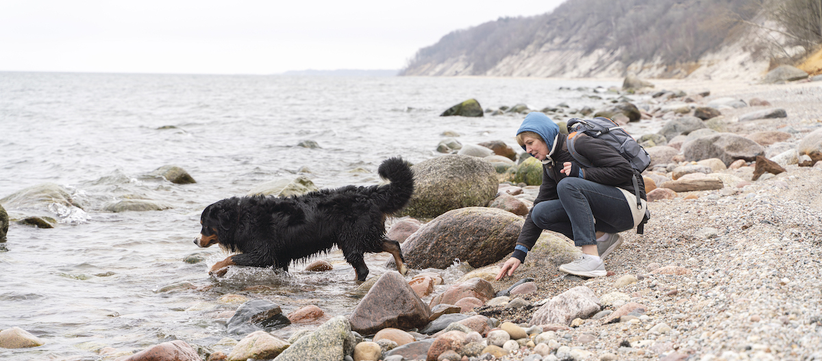 Hund Frau Ostsee Frau mit Rucksack am felsigen Strand, die Steine sammelt, während ihr großer schwarzer Hund im Wasser spielt.