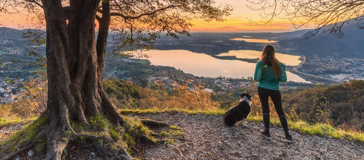 Frau mit Hund genießt den Sonnenuntergang über einem See und einer Stadt von einem Hügel aus gesehen