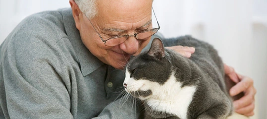 Älterer Mann umarmt liebevoll eine grau-weiße Katze, zeigt Zuneigung und Nähe