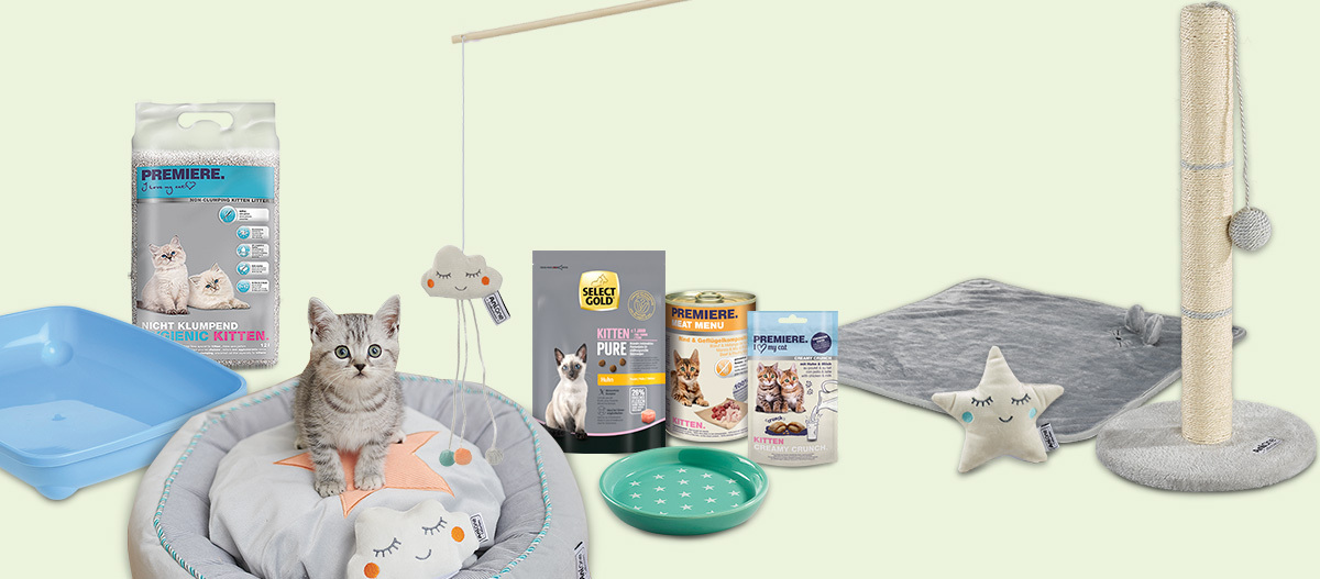 Katzenzubehör für Kätzchen mit Katzenstreu, Katzenbett, Spielzeug, Katzenfutter, Futternapf, Kuscheldecke und Kratzbaum.