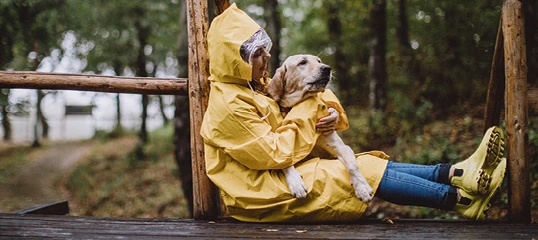Herbst PLP Hallo Herbst