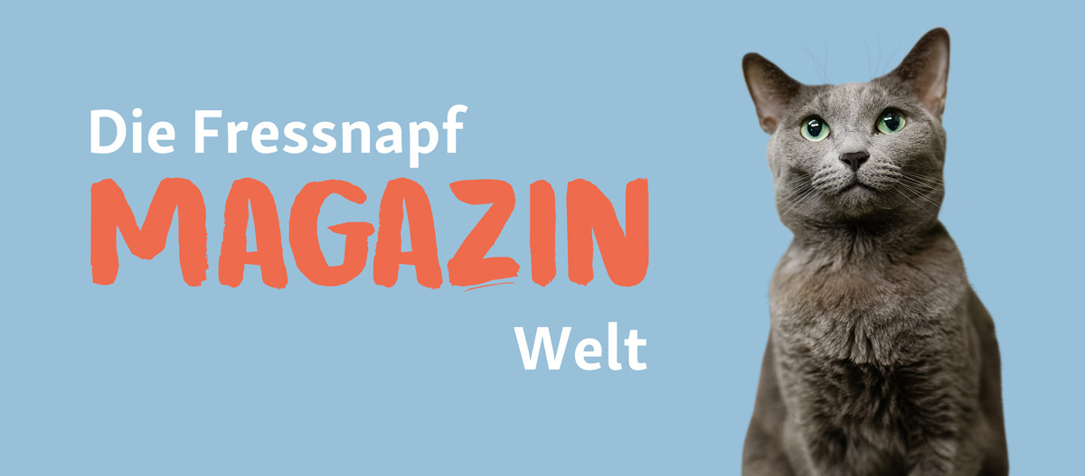 24-01_1200x527px-6583517b2fac3