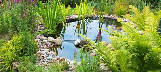 Schöner Garten mit einem Teich, umgeben von Steinen, grünen Pflanzen, Farnen und bunten Blumen
