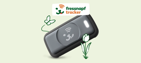 Moderner Fressnapf Tracker für Haustiere mit WLAN-Signal, umgeben von Schmetterling und Blume
