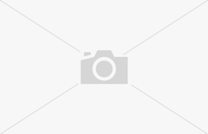 Ratgeber_Senior_Hund_Ernaehrung_alte_Hunde_Hund_frisst_1200x527 1 Ein senioriger Hund frisst aus einem Napf