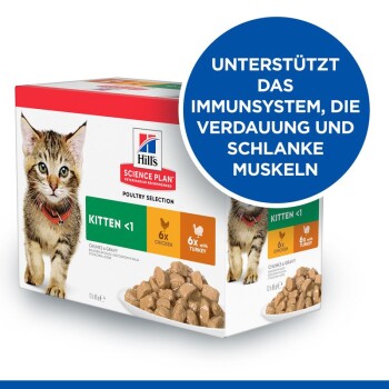 Hill's Science Plan Kitten Multipack mit Huhn & Truthahn 12x85g