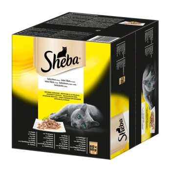 Selection in Sauce 60x85g