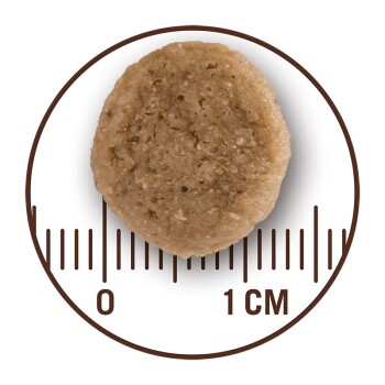 BIOPlan Adult Rind mit Karotten, Leinsaat und Kürbis 1 kg