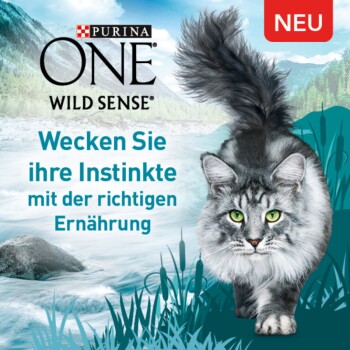 Purina ONE Wild Sense Reich an Lachs 1,4 kg