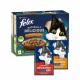 Felix Naturally Delicious Hof 10x80g