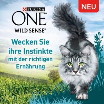 Purina ONE Wild Sense reich an Huhn 1,4 kg