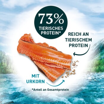 Purina ONE Wild Sense Reich an Lachs 1,4 kg