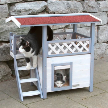 Katzenhaus Lodge Ontario 1210013.PNG