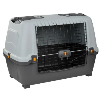 Kofferraumbox M 1279959_1279958.jpg