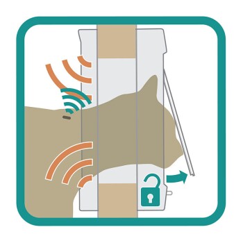 Illustration, die eine Katzenpfote zeigt, die mit einem intelligenten Futterspender interagiert, mit Signalwellen und einem Entsperr-Symbol.