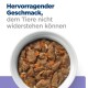 Hill's Prescription Diet Digestive Care i/d Low Fat Ragout mit Huhn und Gemüse 12x354g