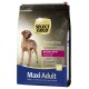 Ein Beutel Select Gold Sensitive Hundefutter mit einer braunen Hundesilhouette, beschriftet mit "Mit Pferd & Tapioka" und "Maxi Adult" für Hunde über 25 kg, geeignet für empfindliche Mägen.