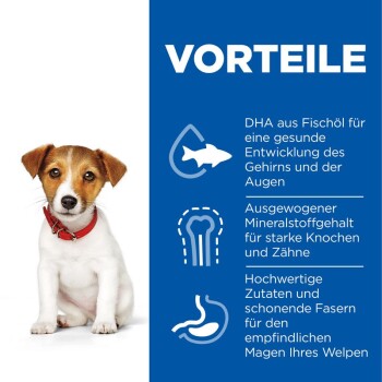 Hill's Science Plan Small & Miniature Puppy mit Huhn 3 kg